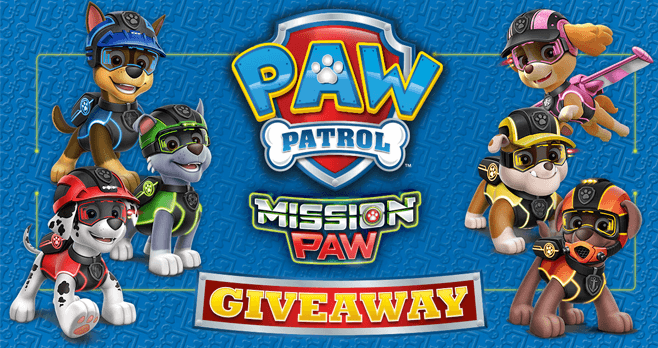 paw patrol mission paw zuma