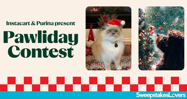 Pawliday Contest 2024