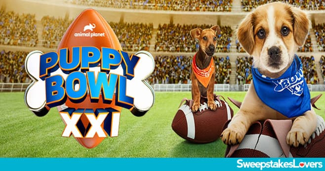 Animal Planet Puppy Bowl Kitty Halftime Sweepstakes 2025