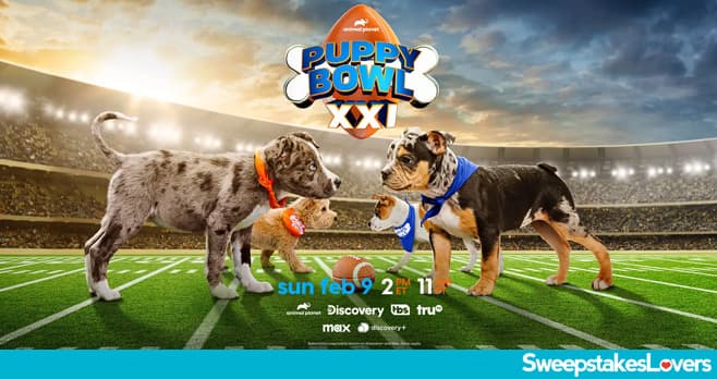 Valpak Puppy Bowl Sweepstakes 2025